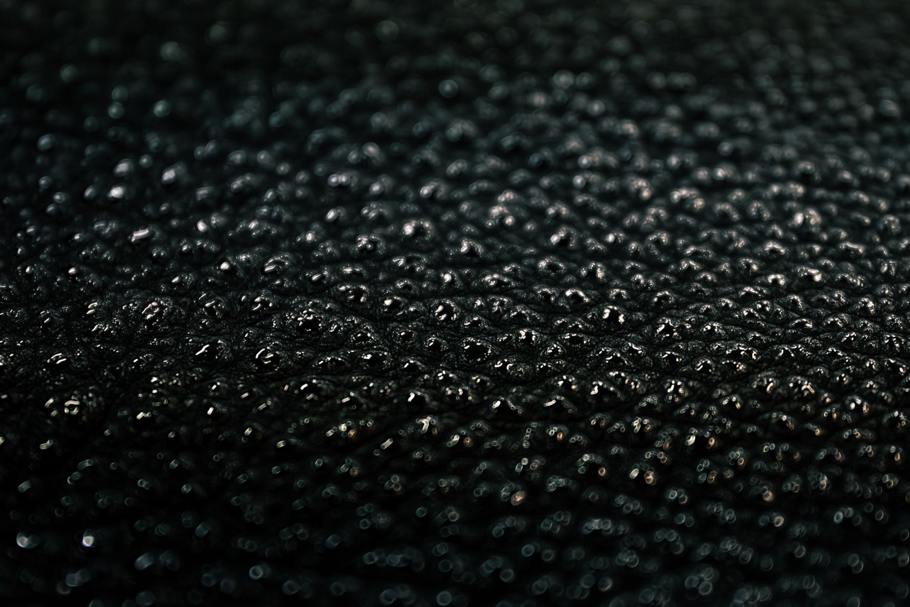 Kurozan leather up close, grains of urushi catching the light.